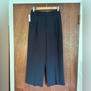 Aritzia Wilfred The Effortless Crop Pant